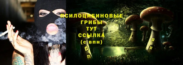 СК Снежинск