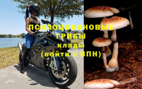 СК Снежинск