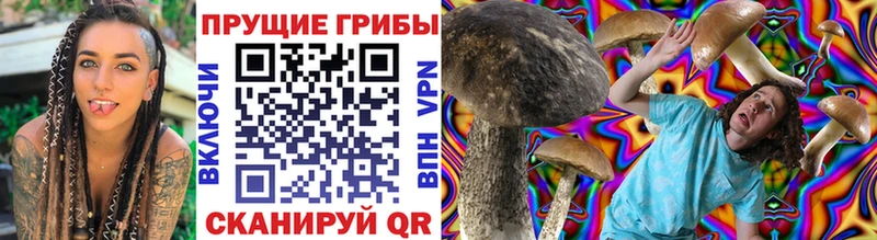 Псилоцибиновые грибы Cubensis  Купить где  Зеленокумск 